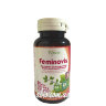 Феміновіс (Feminovis)